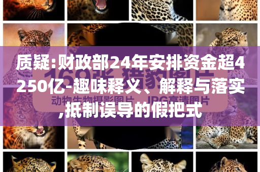 質(zhì)疑:財政部24年安排資金超4250億-趣味釋義、解釋與落實,抵制誤導(dǎo)的假把式