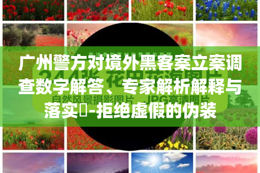 廣州警方對境外黑客案立案調(diào)查數(shù)字解答、專家解析解釋與落實?-拒絕虛假的偽裝