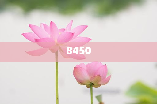醫(yī)美巨頭駁斥玻尿酸過時論-標(biāo)準(zhǔn)釋義、專家解讀解釋與落實,小心虛假蠱惑風(fēng)險