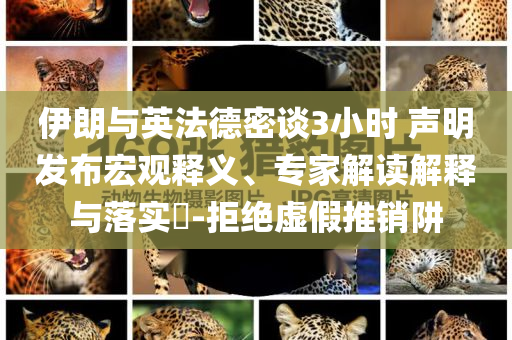 伊朗與英法德密談3小時 聲明發(fā)布宏觀釋義、專家解讀解釋與落實?-拒絕虛假推銷阱