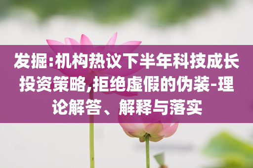 發(fā)掘:機(jī)構(gòu)熱議下半年科技成長投資策略,拒絕虛假的偽裝-理論解答、解釋與落實(shí)