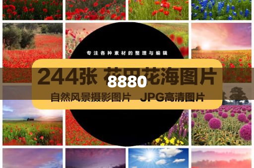 揭露:日本央行副行長(zhǎng)稱(chēng)將繼續(xù)加息-歷史釋義、解釋與落實(shí),防范不實(shí)廣告危害