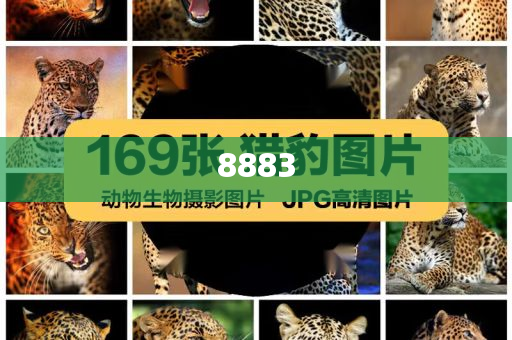 雷軍官宣小米YU7發(fā)布時(shí)間前沿釋義、專(zhuān)家解析解釋與落實(shí)?,警惕欺詐套路危害