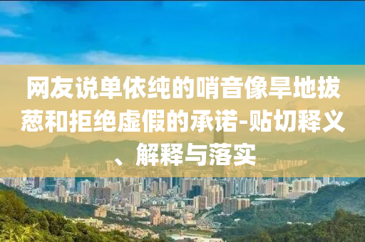 網(wǎng)友說單依純的哨音像旱地拔蔥和拒絕虛假的承諾-貼切釋義、解釋與落實