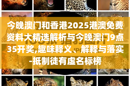 今晚澳門和香港2025港澳免費資料大精選解析與今晚澳門9點35開獎,趣味釋義、解釋與落實-抵制徒有虛名標榜