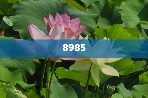 2025年7月 第55頁
