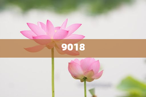 揭露:孫楊幫潘展樂(lè)貼好冠軍號(hào)牌-完整釋義、解釋與落實(shí),留心誤導(dǎo)的假推廣雨