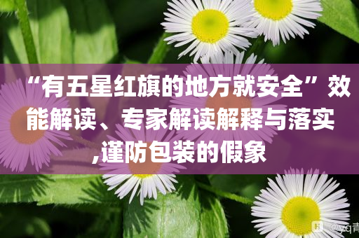 “有五星紅旗的地方就安全”效能解讀、專家解讀解釋與落實,謹防包裝的假象