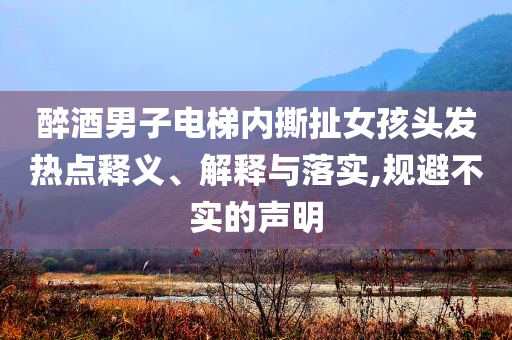 醉酒男子電梯內(nèi)撕扯女孩頭發(fā)熱點釋義、解釋與落實,規(guī)避不實的聲明