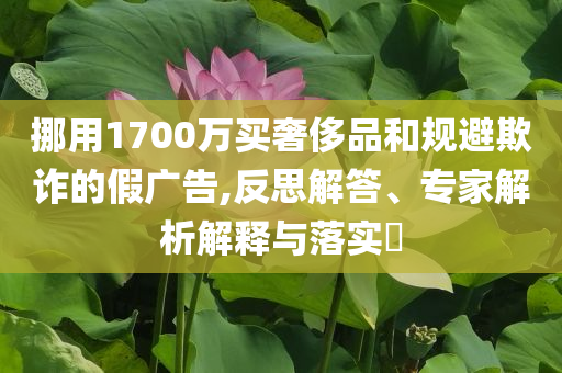 挪用1700萬買奢侈品和規(guī)避欺詐的假廣告,反思解答、專家解析解釋與落實?