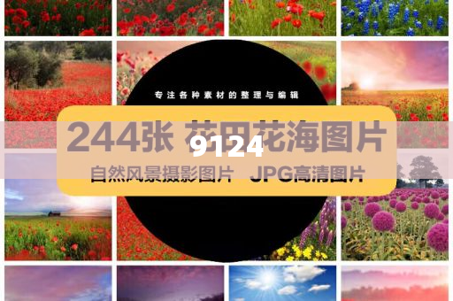 關艙門發(fā)現(xiàn)上錯飛機和警惕營銷假把戲,標準釋義、專家解析解釋與落實?