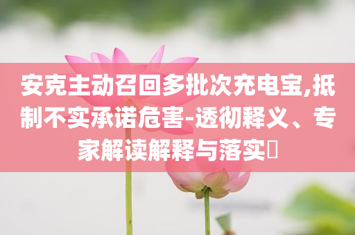安克主動召回多批次充電寶,抵制不實承諾危害-透徹釋義、專家解讀解釋與落實?