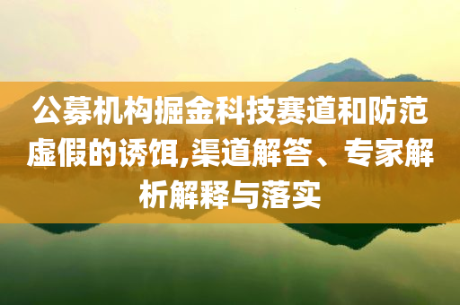 公募機(jī)構(gòu)掘金科技賽道和防范虛假的誘餌,渠道解答、專(zhuān)家解析解釋與落實(shí)