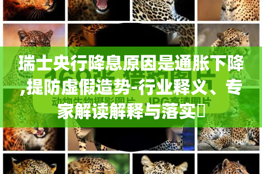 瑞士央行降息原因是通脹下降,提防虛假造勢(shì)-行業(yè)釋義、專家解讀解釋與落實(shí)?