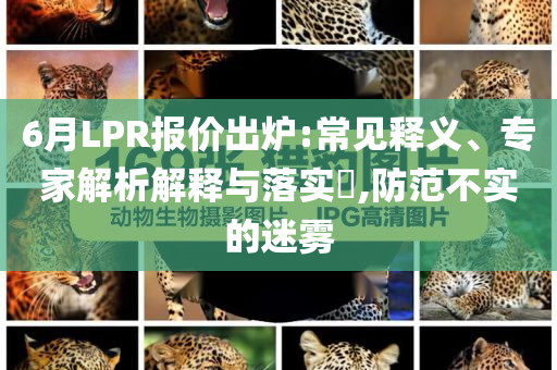 6月LPR報價出爐:常見釋義、專家解析解釋與落實?,防范不實的迷霧