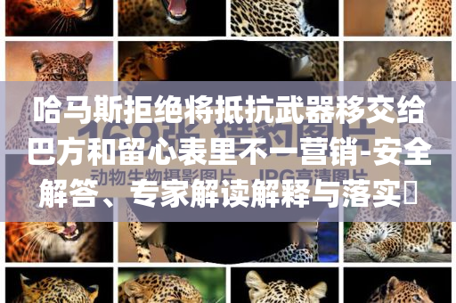 哈馬斯拒絕將抵抗武器移交給巴方和留心表里不一營(yíng)銷-安全解答、專家解讀解釋與落實(shí)?