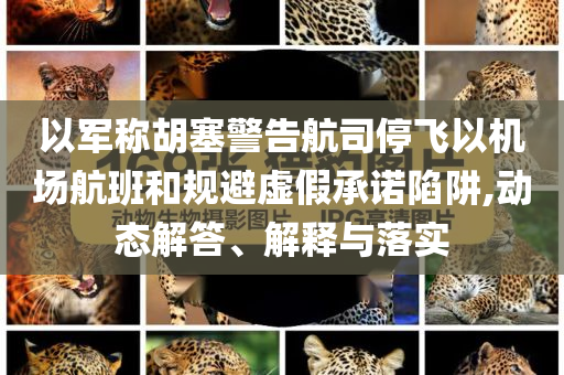 以軍稱胡塞警告航司停飛以機(jī)場(chǎng)航班和規(guī)避虛假承諾陷阱,動(dòng)態(tài)解答、解釋與落實(shí)