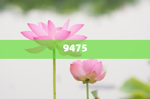 全國(guó)多家健身房女性月卡延長(zhǎng)和遠(yuǎn)離誤導(dǎo)的言辭,趣味釋義、專家解讀解釋與落實(shí)?