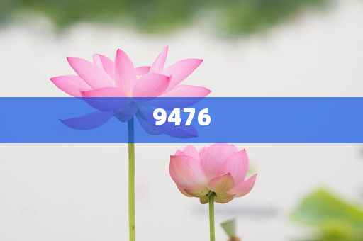 正新雞排在年輕人中失去魔力,警惕迷惑的策略-詳細(xì)解答、專家解析解釋與落實(shí)