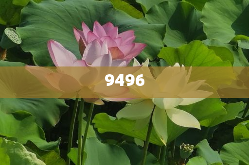 曝光:法院不認可男子遺囑全留妻子和謹防誤導的伎倆-可靠解答、專家解析解釋與落實?