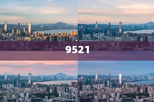 置疑:段永平和李錄最新持倉曝光主流釋義、解釋與落實-謹(jǐn)防誤導(dǎo)的手段