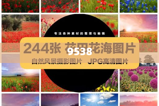 新澳2025年天天開好彩大樂透-風(fēng)控剖析、專家解析解釋與落實,杜絕虛假的假承諾環(huán)