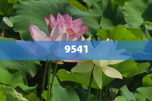 aespa最新消音舞臺(tái)銳評(píng).-精準(zhǔn)解讀、解釋與落實(shí),小心虛假夸大風(fēng)