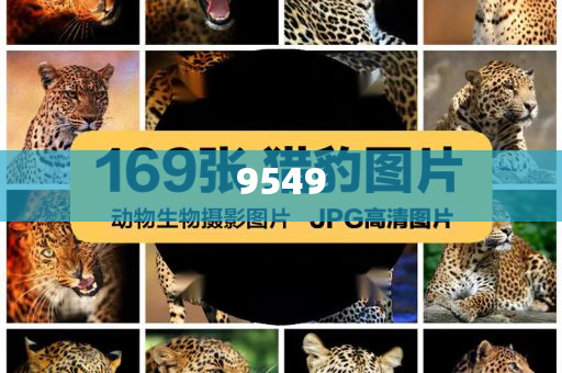 特朗普再對(duì)8國加征關(guān)稅 最高50%,突破釋義、解釋與落實(shí)-防范不實(shí)的陰謀