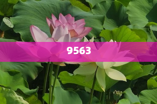 揭露:王晶曝成龍?jiān)环劢z扇耳光常見(jiàn)釋義、專家解析解釋與落實(shí)?-警惕不實(shí)的釣魚鉤