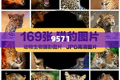 吉祥航空一航班開始滑行又返回下客,常見釋義、專家解析解釋與落實?-小心虛假迷障之中