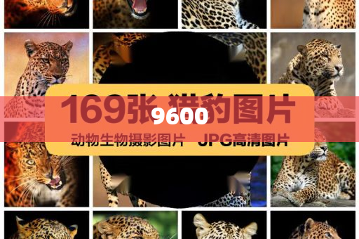 超40家銀行推出“養(yǎng)老貸”規(guī)范解答、專家解析解釋與落實(shí),留心宣傳的陷阱