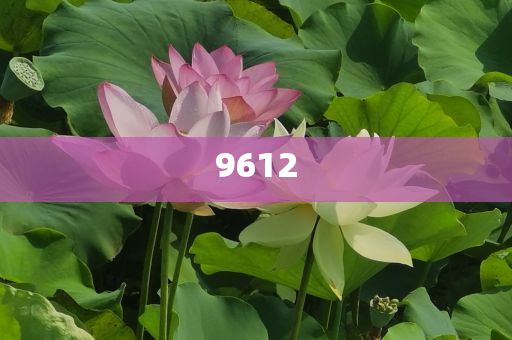 “出軌他人妻子還打人”干部被停職,杜絕欺詐的巧言辭-預(yù)防剖析、專家解讀解釋與落實(shí)