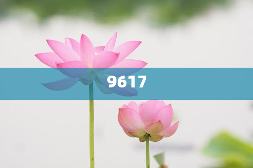 我和邁克大叔夏天的約定前沿釋義、解釋與落實(shí)-警惕虛假的假宣傳語