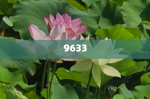 揭露:酒往“低”處流的九重拷問和防范不實推銷騙局,透徹釋義、專家解析解釋與落實?