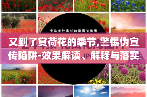 又到了賞荷花的季節(jié),警惕偽宣傳陷阱-效果解讀、解釋與落實