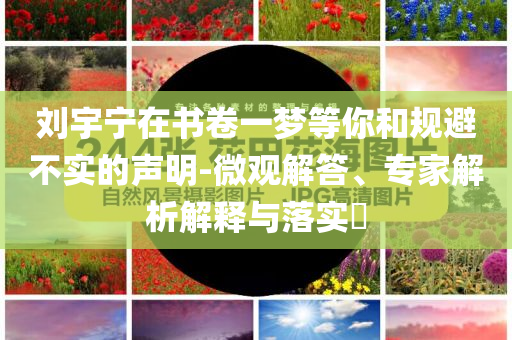 劉宇寧在書卷一夢等你和規(guī)避不實(shí)的聲明-微觀解答、專家解析解釋與落實(shí)?